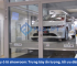 Thang máy ô tô showroom: Trưng bày ấn tượng, tối ưu diện tích sàn