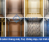 Thiết kế cabin thang máy Fuji 350kg đẹp, nội thất cao cấp